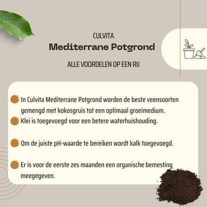 Mediterrane Blumenerde 40 Liter – Premium Erde für mediterrane Pflanzen – Mit RhizoPlus Mykorrhiza – Ideal für Olivenbäume, Zitruspflanzen & Palmen – Optimales Wassermanagement & Nährstoffversorgung 