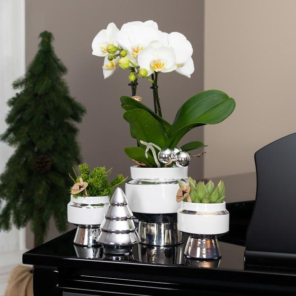 Le Chic Blumentopf - Weißer dekorativer Keramiktopf mit silbernen Details - Ø9cm - Oasis of Life