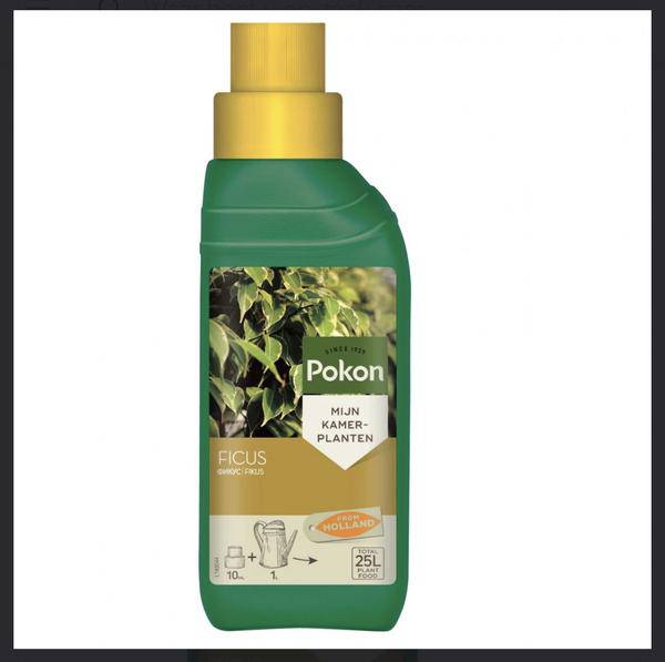 Ficus Pflanzennahrung 250ML