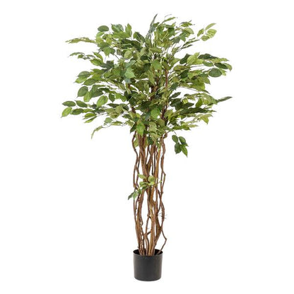 Ficus liana - Stiefmütterchenpflanze - Kunstpflanze - Zimmerpflanze - ↕140cm