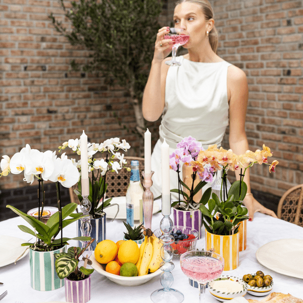Calathea Makoyana - Pfauen-Korbmarante - Zimmerpflanze - Ø6cm 