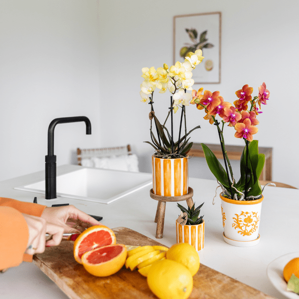 Dekotopf Keramik – Blumentopf Bemalter Streifen Orange – Ø9cm – Modernes Pflanzgefäß für Zimmerpflanzen & Deko 