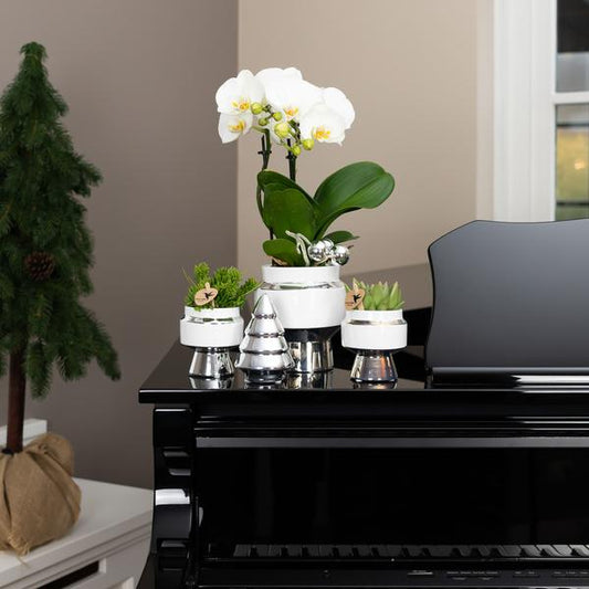 Le Chic Blumentopf – Weißer Keramik-Ziertopf mit silbernen Details – Ø6cm – Dekorativer Übertopf für Orchideen & Grünpflanzen – Elegantes Design 