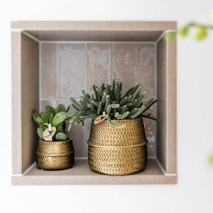 Pflanzenset mit 3 Sukkulenten – Inkl. Keramik-Ziertöpfe – Ø9 cm Topf – Pflegeleichtes Mini-Set für Fensterbank, Schreibtisch & Regal – Stilvolle Dekopflanzen für Zuhause & Büro 