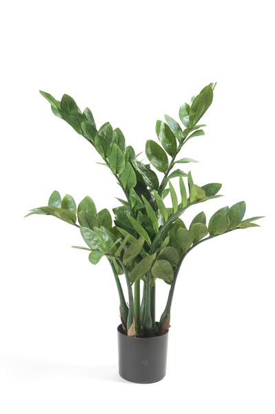 Kunstpflanze - Zamioculcas - Zimmerpalme - 70 cm