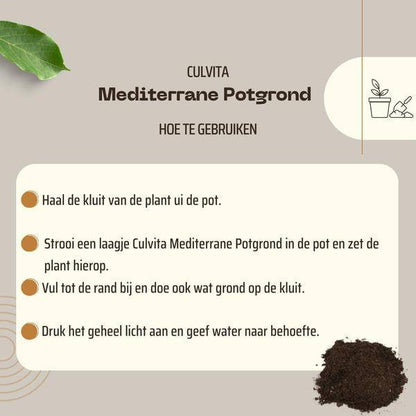 Mediterrane Blumenerde 40 Liter – Premium Erde für mediterrane Pflanzen – Mit RhizoPlus Mykorrhiza – Ideal für Olivenbäume, Zitruspflanzen & Palmen – Optimales Wassermanagement & Nährstoffversorgung 