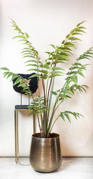 Kunstpflanze - Rumohra Adiantiformis - Lederfarn - 180 cm