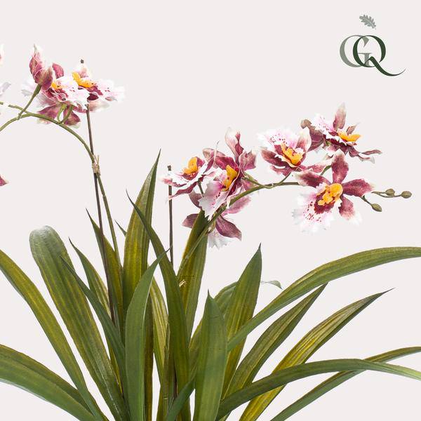 Künstliche Pflanze - Orchidee - Bordeaux - ↨45cm