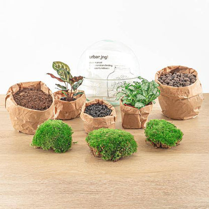 Flaschengarten - DIY - Kuppel - ↕ 20 cm