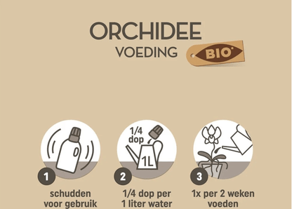 Pokon Bio Orchideenfutter – 250ml – 100% natürliche Pflanzennahrung – Für kräftige, gesunde Orchideen mit tiefgrünen Blättern und üppiger Blüte – Flüssigdünger NPK 3-2-5 