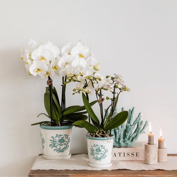 Malaga Übertopf - Türkis - Ø9cm 