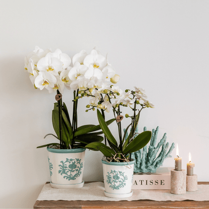 Malaga Übertopf - Türkis - Ø9cm 