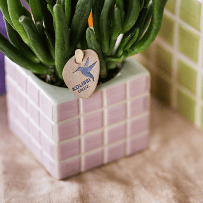 Mosa Ziertopf - Rosa - Ø6cm 