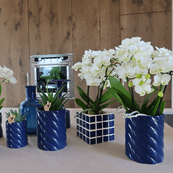 Candy Dekotopf - Hoch - Blau - Ø6cm 