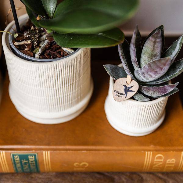 Bali Blumentopf Off White Ø9cm – Dekorativer Keramiktopf mit Rillenstruktur – Moderner Pflanzentopf im minimalistischen Design – Stilvolle Blumendeko für Wohnzimmer, Küche & Büro 