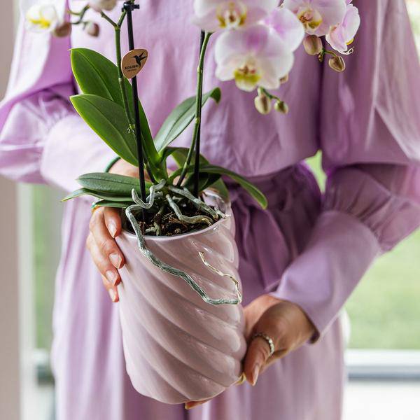 Candy Dekotopf – Hoch – Rosa – Ø9cm – Keramik Übertopf – Runde Form – Farbenfrohes Design – Für Zimmerpflanzen & Orchideen 