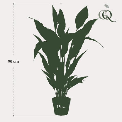 Spathiphyllum - Löffelpflanze - Kunstpflanze - Zimmerpflanze - ↕90cm