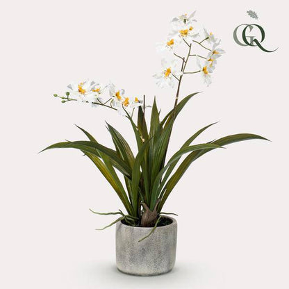 Künstliche Pflanze - Orchidee - Weiß - ↨45cm