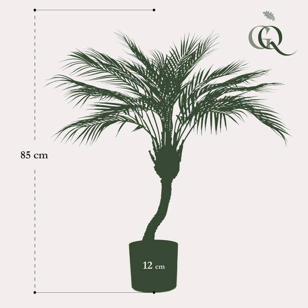 Kunstpflanze - Chamaedorea Elegans - Bergpalme - 85 cm