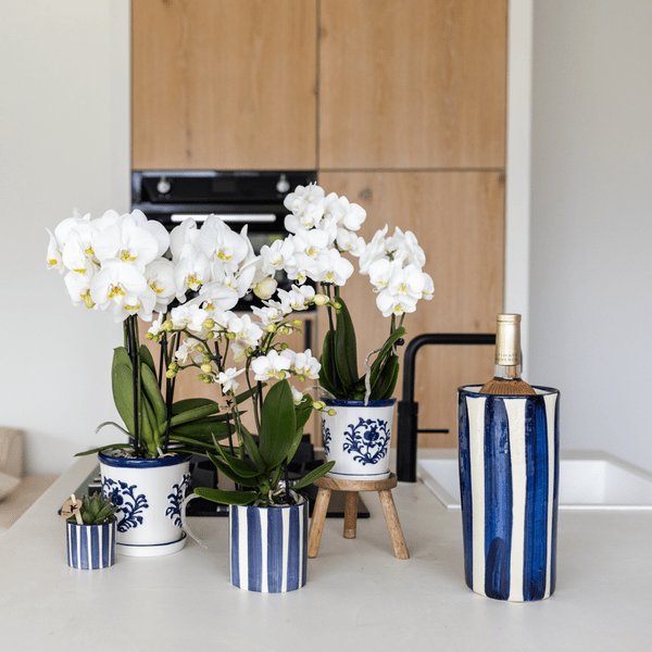 Malaga-Topf - Blau - Ø12cm 