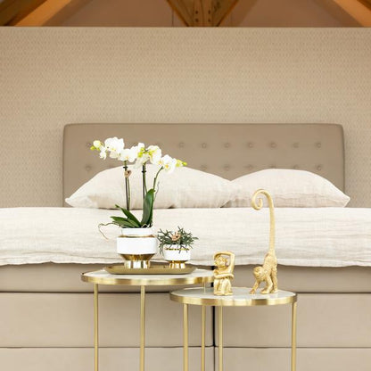 Le Chic Blumentopf - Weißer dekorativer Keramiktopf mit goldenen Details - Ø9cm - Oasis of Life