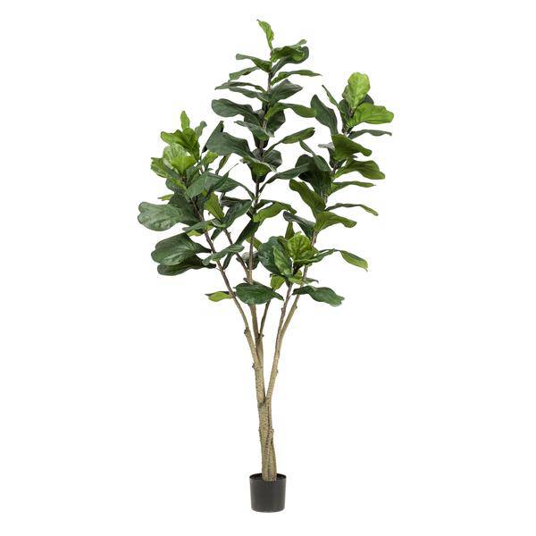 Ficus Lyrara - Tabakpflanze - Zimmerpflanze - Kunstpflanze - ↕210cm