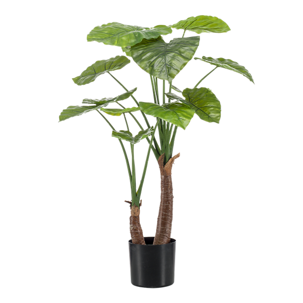 Alocasia - Pfeilblätter - Kunstpflanze - Zimmerpflanze - ↕110cm