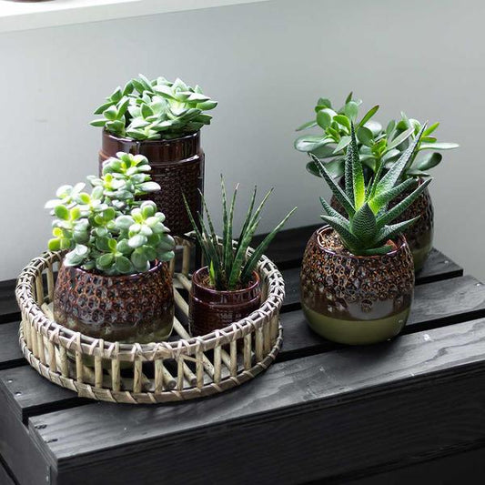 Runde Bambusschale Ø30cm – Handgefertigtes Deko-Tablett – Natürliche Aufbewahrung & Pflanzendeko 