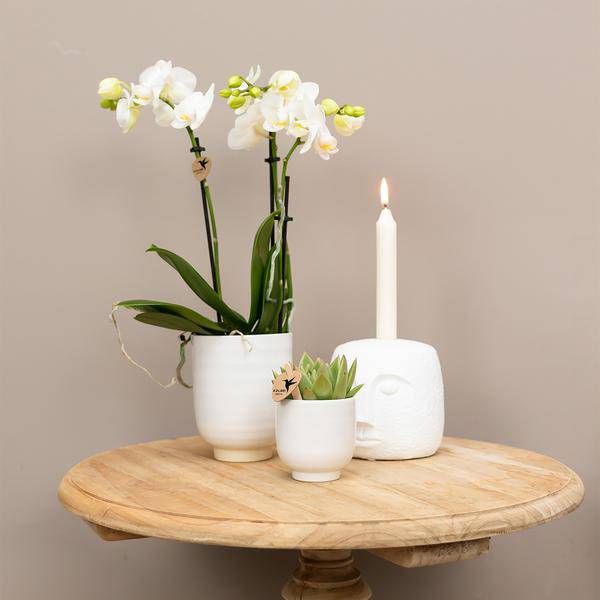 Blumentopf glasiert - Weißer Keramik-Ziertopf mit Glanz - Ø6cm - Oasis of Life
