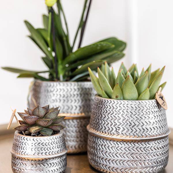 Blumentopf Rille – Gold – Ø9cm – Keramik-Ziertopf mit Rillenstruktur – Mattes Finish – Dekorativer Übertopf für Zimmerpflanzen 