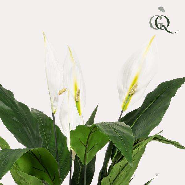 Spathiphyllum - Löffelpflanze - Kunstpflanze - Zimmerpflanze - ↕90cm