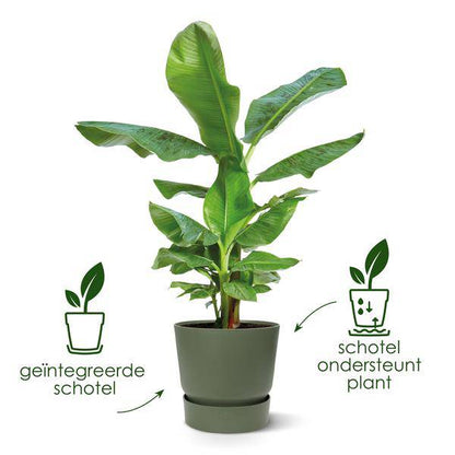 Topf Greenville Grau - D30 x H28 