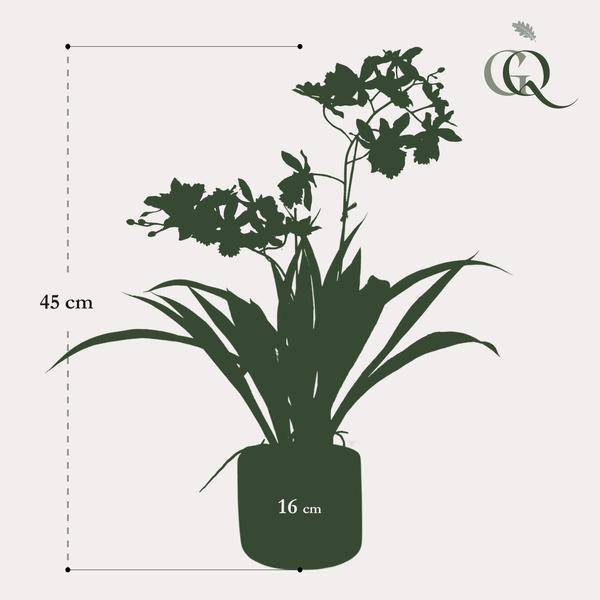 Kunstpflanze - Orchidee - Gelb - ↨45cm