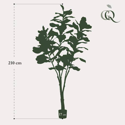 Ficus Lyrara - Tabakpflanze - Zimmerpflanze - Kunstpflanze - ↕210cm