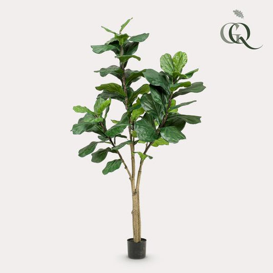 Kunstpflanze - Ficus Lyrata - Tabakpflanze - 180 cm