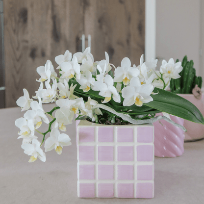Mosa Ziertopf - Rosa - Ø9cm 