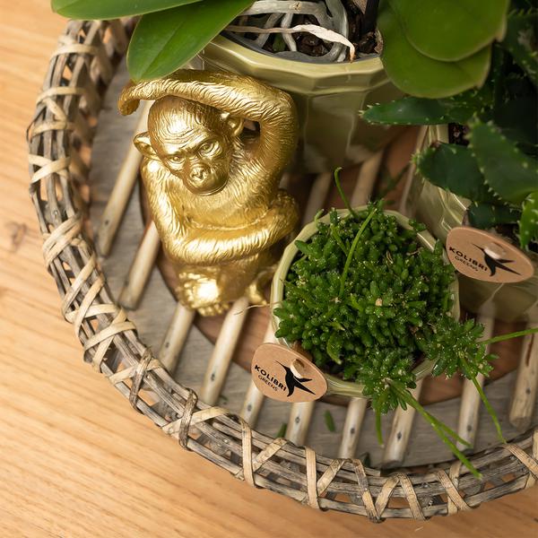 Ornament - Dekoskulptur Sitzender Affe - Gold - Oasis of Life