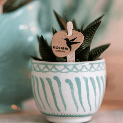 Topf Granada - Türkis - Ø6cm 