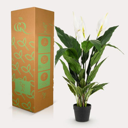 Spathiphyllum - Löffelpflanze - Kunstpflanze - Zimmerpflanze - ↕90cm