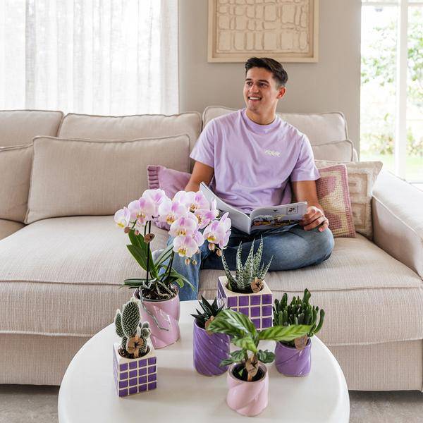 Candy Dekotopf Rosa – Ø6cm – Runder Keramik Blumentopf – Moderner Mini Blumentopf für Orchideen & kleine Zimmerpflanzen – Dekoration für Wohnzimmer, Küche & Büro 