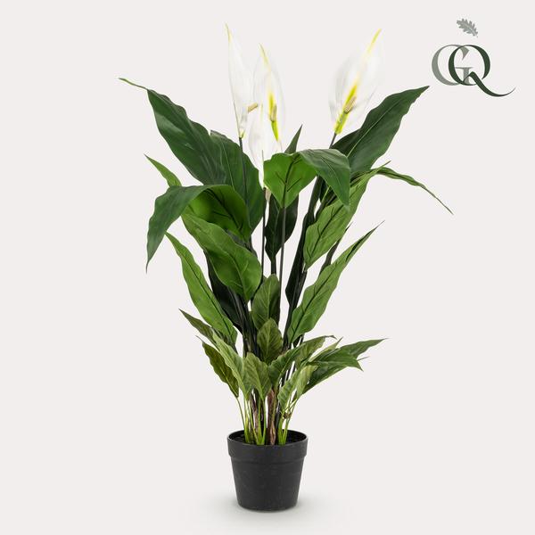 Spathiphyllum - Löffelpflanze - Kunstpflanze - Zimmerpflanze - ↕90cm