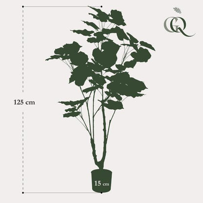 Ficus umbellate - Afrikanische Feige - Kunstpflanze - Zimmerpflanze - ↕125cm