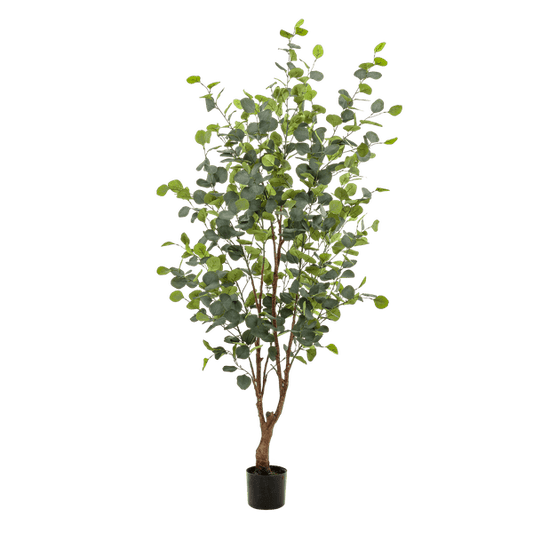 Kunstpflanze Eukalyptusbaum – Blue Gum Tree – ca. 140cm hoch – Täuschend echt & pflegefrei – Für Wohnzimmer, Büro & dunkle Räume – Immergrün & stilvoll