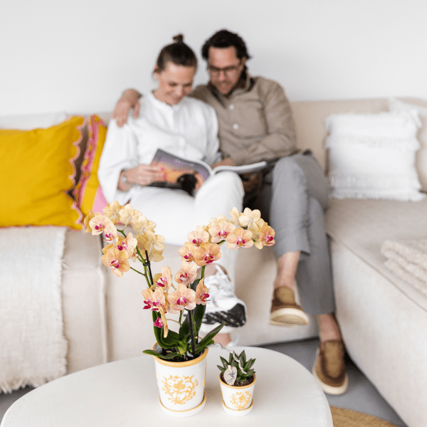 Malaga Übertopf - Orange - Ø6cm 