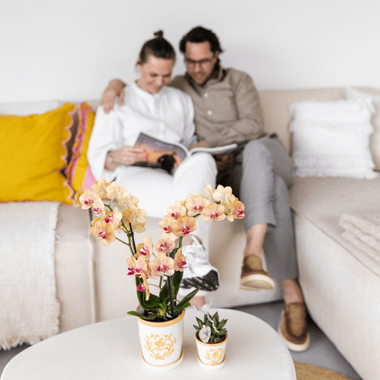 Malaga Übertopf - Orange - Ø6cm 