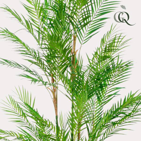 Kunstpflanze - Chamaedorea Elegans - Bergpalme - 180 cm 