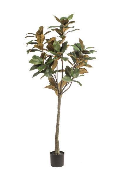 Kunstpflanze - Magnolia Grandiflora - 150 cm 