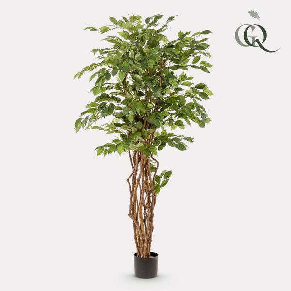 Ficus liana - Stiefmütterchenpflanze - Kunstpflanze - Zimmerpflanze - ↕170cm