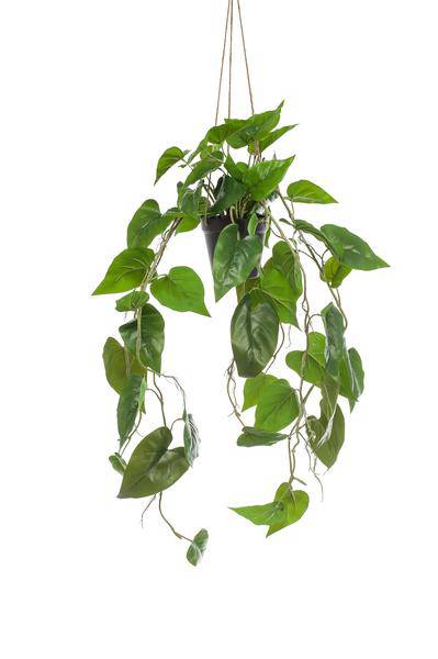 Kunstpflanze - Philodendron Hängepflanze - 80 cm 