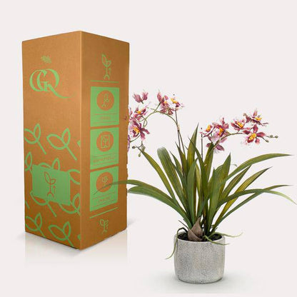 Künstliche Pflanze - Orchidee - Bordeaux - ↨45cm